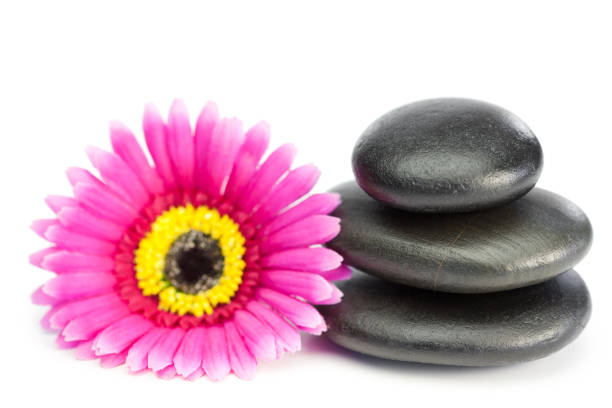 istock Pink and yellow flower and piled up pebbles 855412838