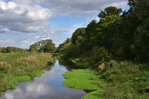 istock English River and Water Meadow 855421240