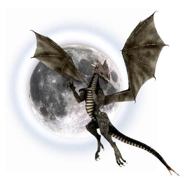 3D rendering fantasy dragon on white 3D digital render of a black fantasy dragon and a fool moon isolated on white backround fool moon stock pictures, royalty-free photos & images