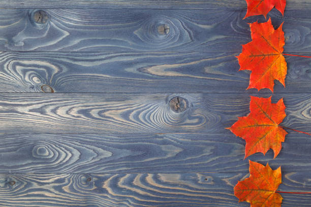 istock Autumn leaves over a wooden background 855433866