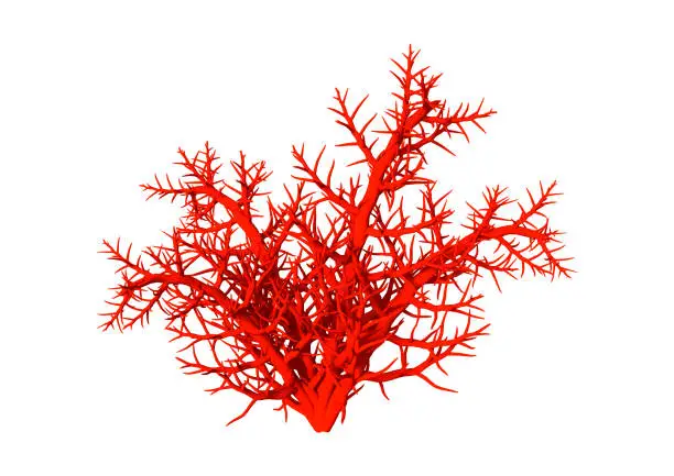 3D Illustration of a red coral isolated on white background
