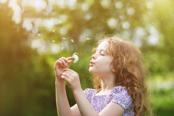 istock Curly girl blowing white dandelion in meadow. 855464322