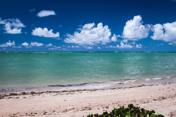 istock Blue sea, sand, sky and summer day. 855464482