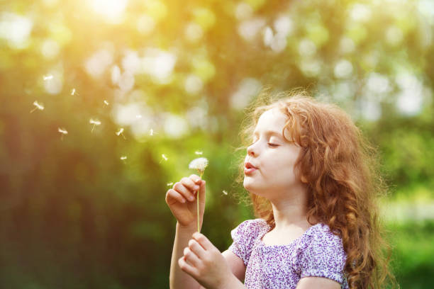 curly girl blowing white dandelion in meadow. - soprar imagens e fotografias de stock