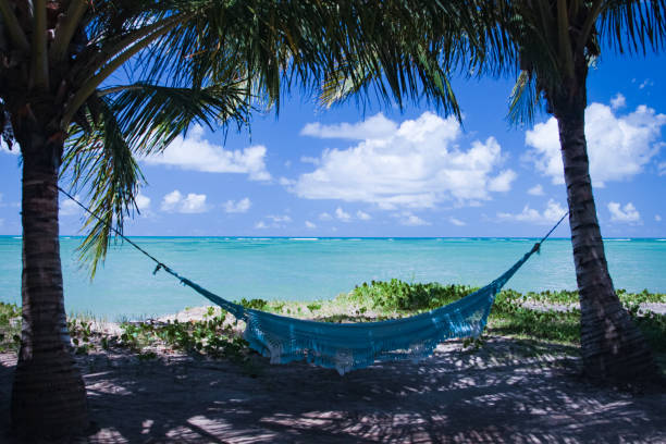 istock Blue sea, sand, sky and summer day. 855467050