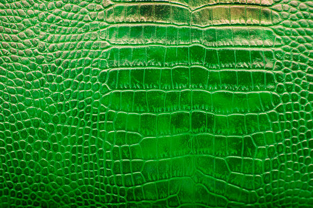 istock Textured background of genuine leather in crocodile skin pattern 855475178