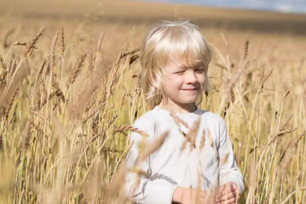 Photo of Blond Slavic happy kid boy at a ripe rye wheat field, autumn harvest, Russia, the Urals