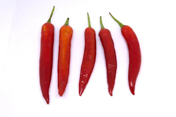 Red Chili Isolated on white backgrounds