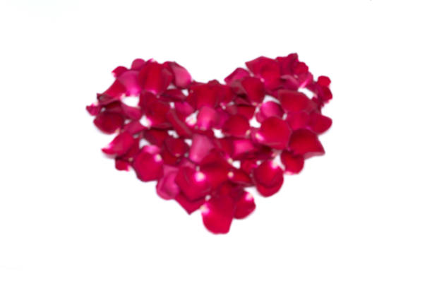 istock Isolated sprinkle rose petals on white backgrounds 855479194