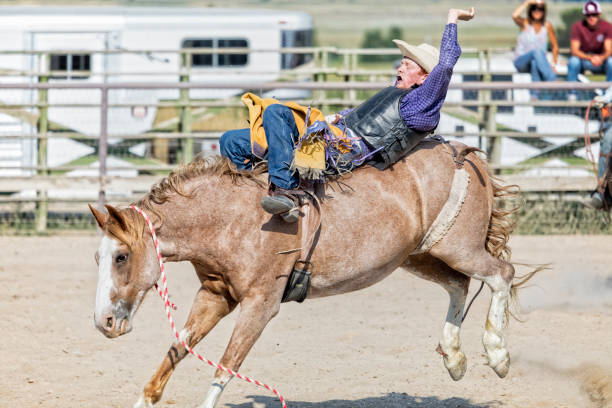 istock Cowboy riding a horse in a bronco competition at a local rodeo 855479280