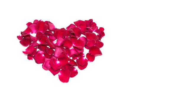 istock Isolated sprinkle rose petals on white backgrounds 855479284