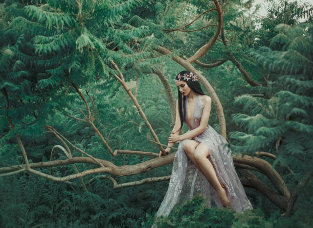 menina fantasia em um jardim de fadas - fairy forest women magic - fotografias e filmes do acervo