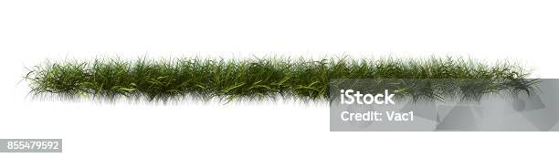 3d Model Rumput 3d Rendering Patch Rumput Di Atas Putih Foto Stok - Unduh Gambar ...