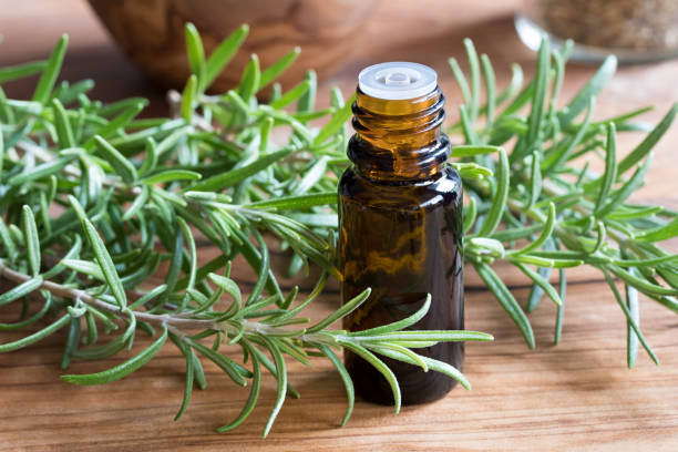 istock A bottle of rosemary essential oil 855489652