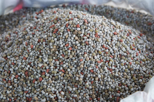 istock Chemical Fertilizer or Organic Fertilizer 855490420