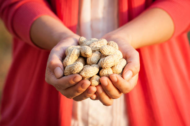 Holding peanut by a woman