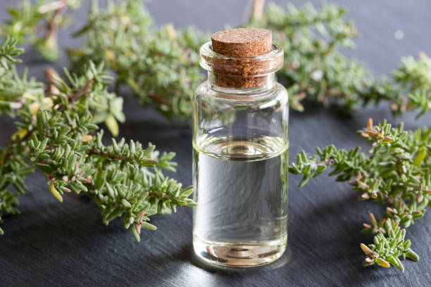 istock A bottle of thyme essential oil 855493302