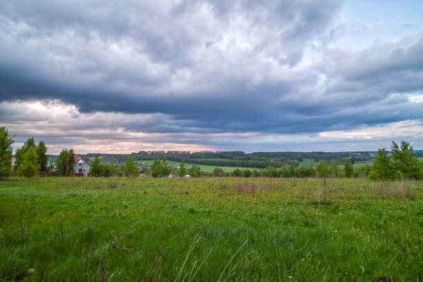 Beautiful sunset meadow landscape