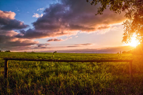 istock Beautiful sunset meadow landscape 855500504