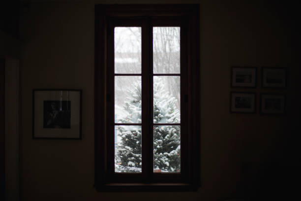 istock View of a snowy christmas tree through a window 855501354