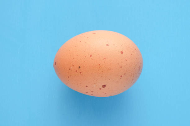 istock Chicken eggs are a popular food worldwide. 855504172