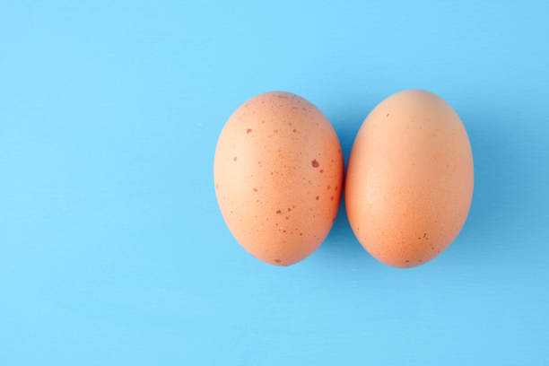 istock Chicken eggs are a popular food worldwide. 855504236