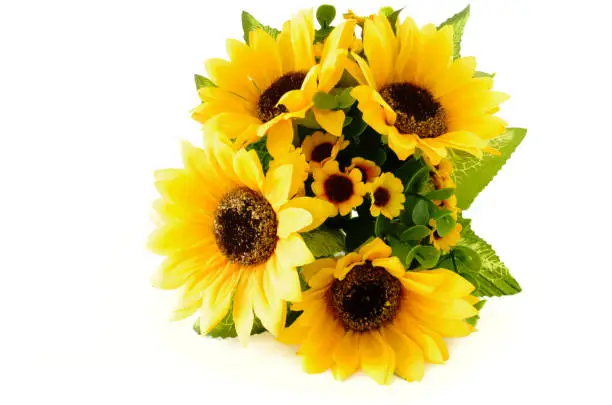 Closeup of a sunflower bouquet on white background with copy space.