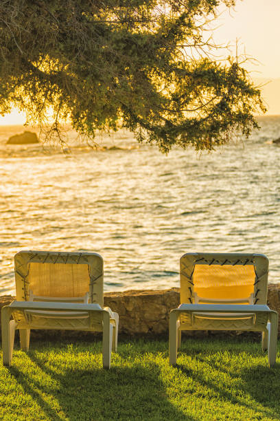 White sunbeds on the green grass at sunset time.