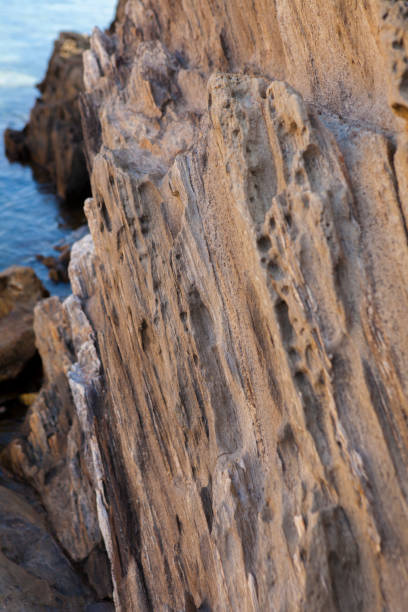 istock Cap de Creus Eroded Rocks - Metamorphic rocks near sea 855508942