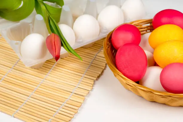 easter background, white and colored eggs with red tulip