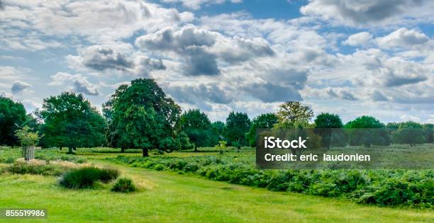 Overcast Sky Stock Photo - Download Image Now - Agricultural Field, Blue, Cloud - Sky