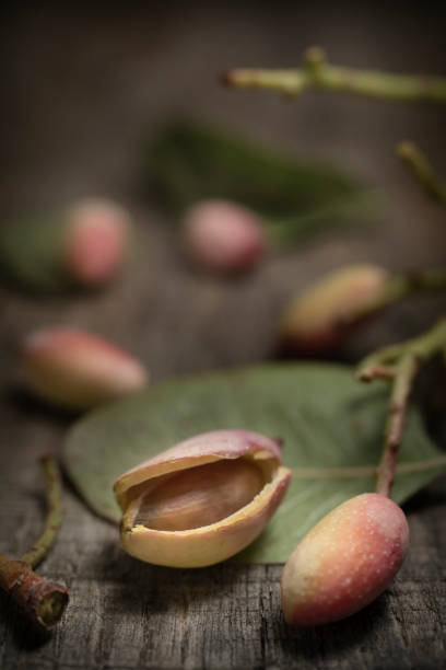 Group of one whole two pieces of salted pistachio isolated on white background