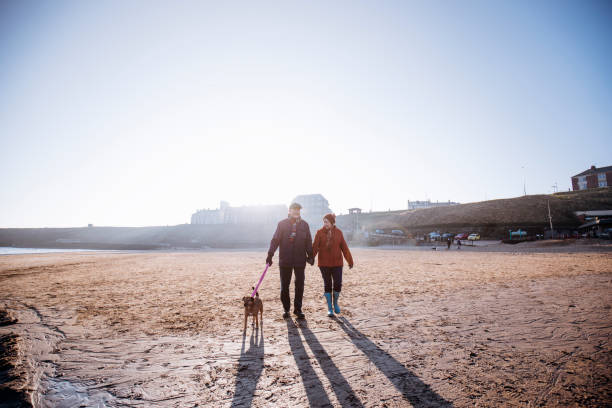 Senior Couple Walking their Dog on the Beach
