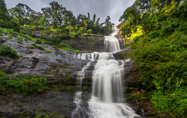 attukad waterfall in kerala, india - munnar imagens e fotografias de stock