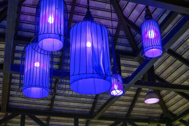istock The blue lamp on the ceiling. 855536538