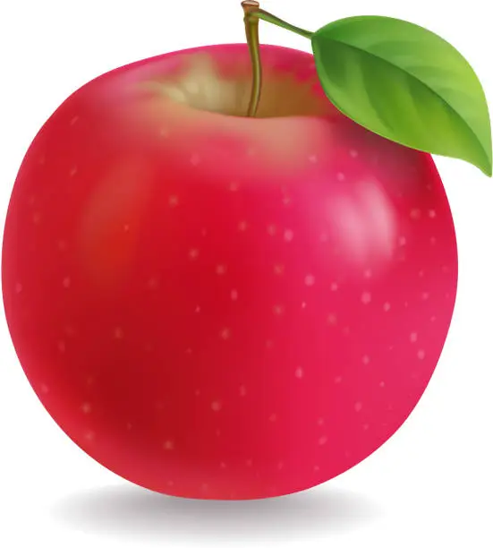 Vector illustration of Red apple with leaf Realistic illustration