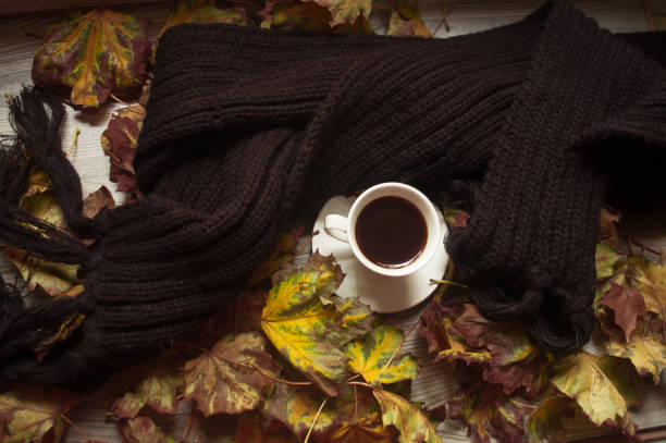 istock autumn afternoon relaxation 855539620