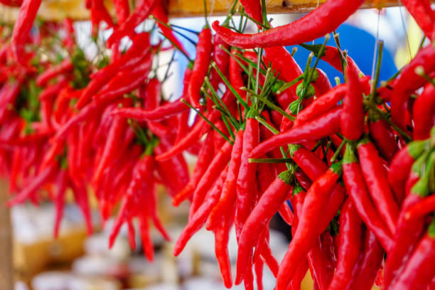 istock Rows of chilli peppers hang together 855540694