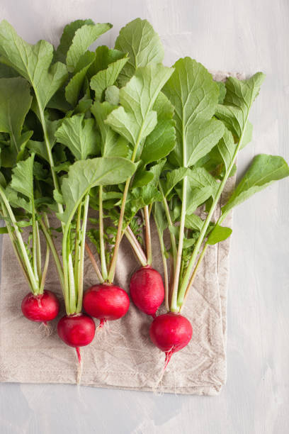 istock fresh raw radish with leaves over gray background 855543148