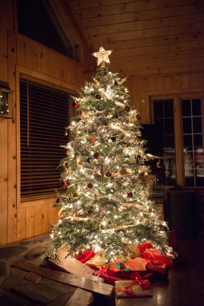 istock Occasions ornaments Christmas 855560398