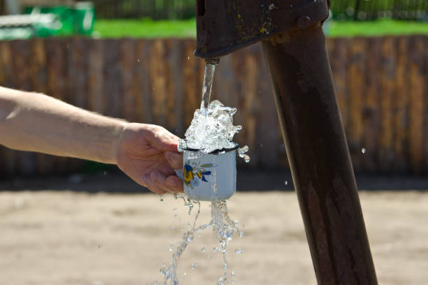 Drinking water in the river