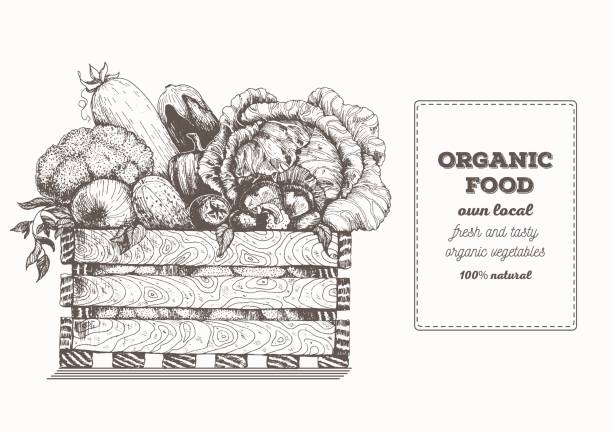 ilustrações, clipart, desenhos animados e ícones de legumes frescos na caixa. alimento natural para o mercado dos fazendeiros. mão-extraídas ilustração vetorial. - asparagus vegetable market basket