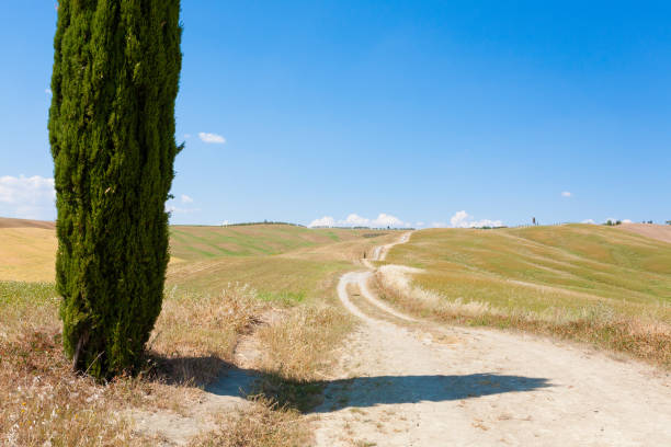 istock Tuscany hills landscape, Italy 855585042