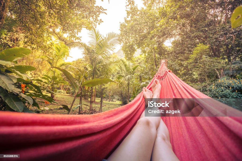 hammock girl lying in a hammock in the tropical jungles of Brazil. Brasil Hammock Stock Photo