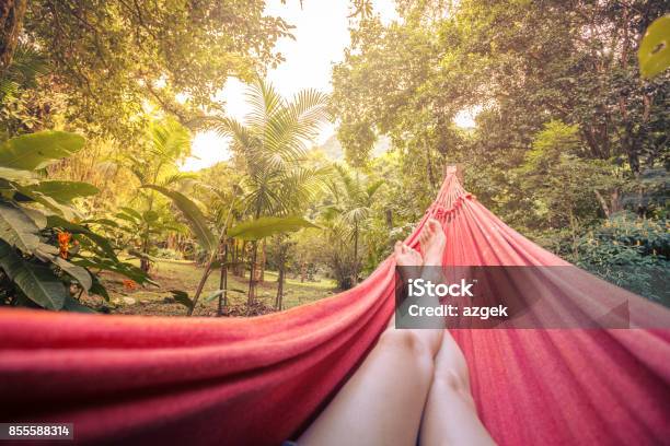 Hammock Stock Photo - Download Image Now - Hammock, Relaxation, Vacations