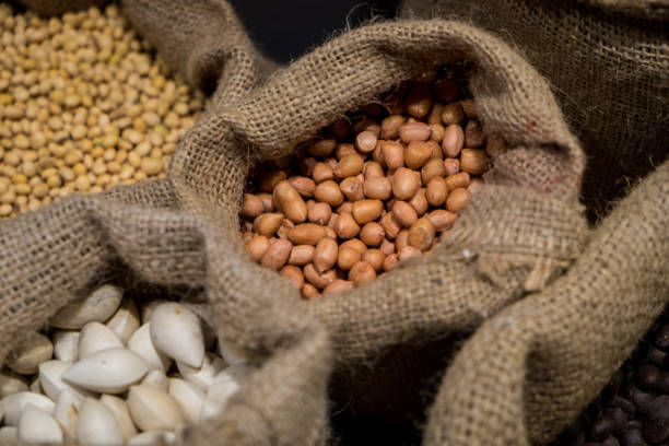 istock Various kinds of Food ingredient 855591238