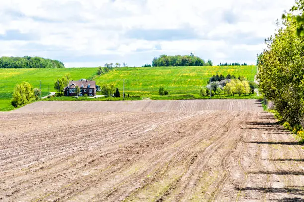 Quebec farm landscape with brown plowed field furrows in summer with house, home, hills, dandelion flowers in Canada