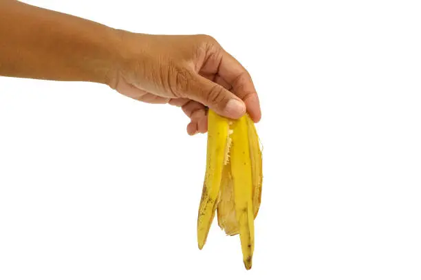 Hand holding banana peel white background