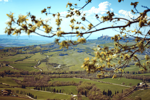 typical Tuscan landscape - a view of a villa on a hill and green fields at sunny day. province of Siena. Tuscany, Italy