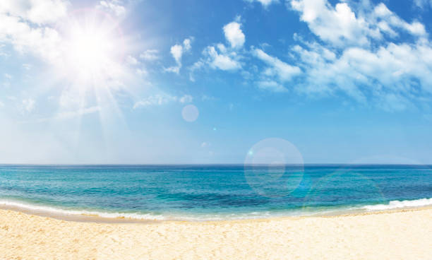 istock Tropical beach on bright sunny day. Summer background 855600996